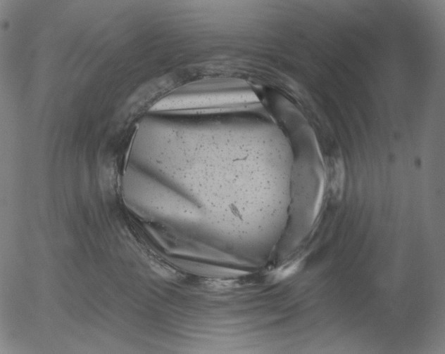 X0000055970333200509021553