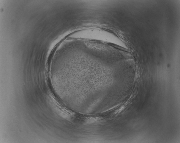 X0000055970342200509021552