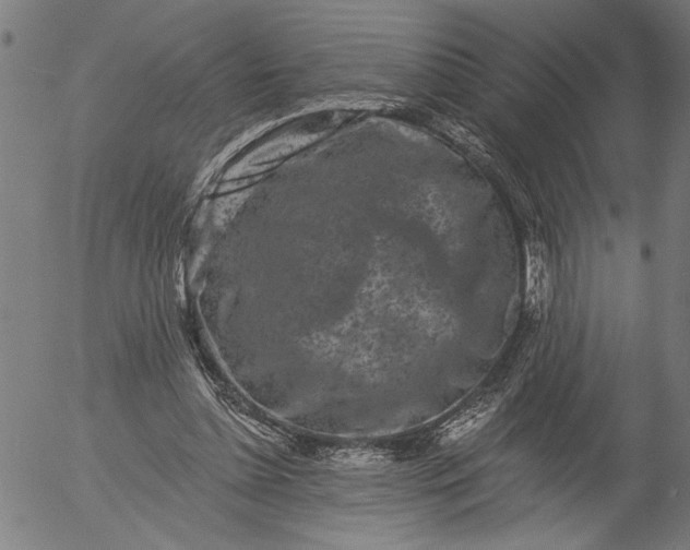 X0000055970348200509021552