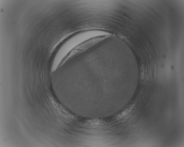 X0000055970351200509021552