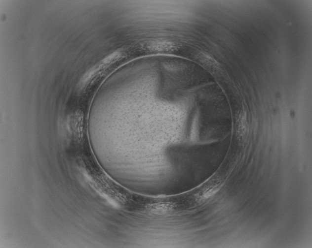 X0000055970356200509021552