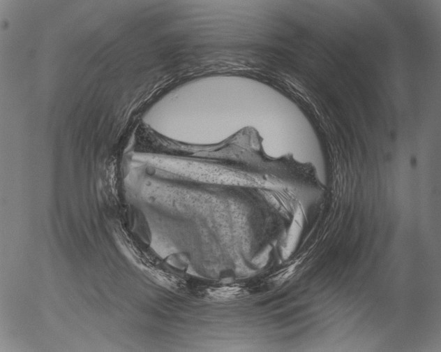 X0000055970362200509021553