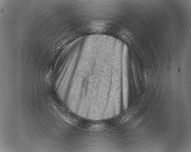 X0000055970364200509021553