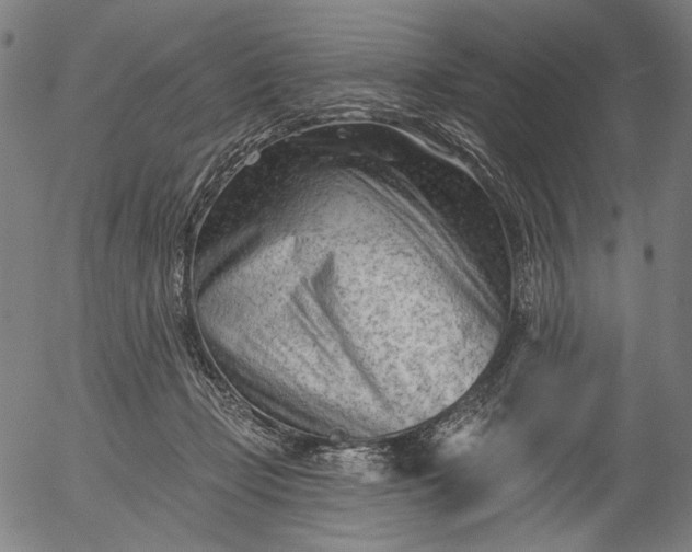 X0000055970365200509021553