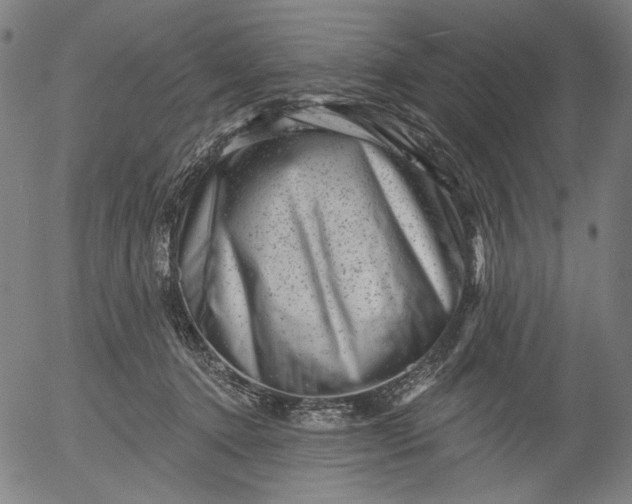 X0000055970368200509021553