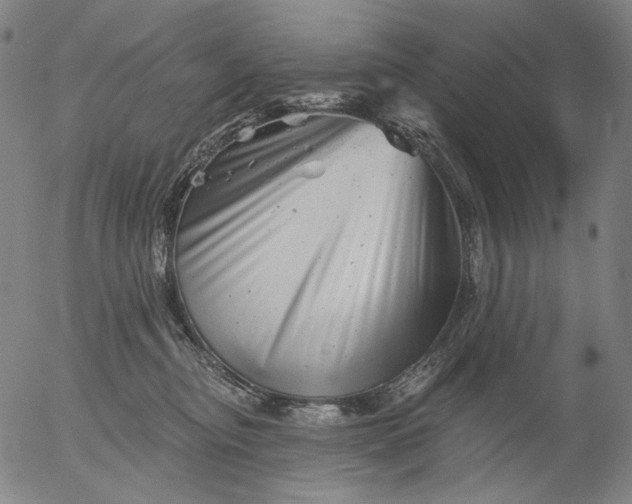 X0000055970374200509021553
