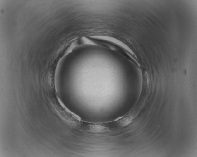 X0000055970380200509021553