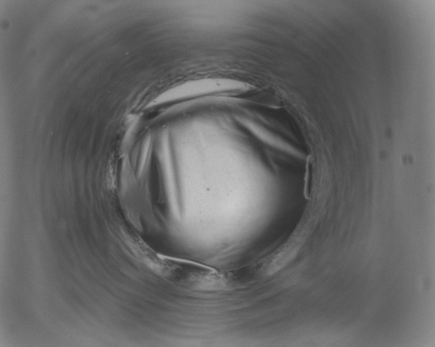 X0000055970384200509021553