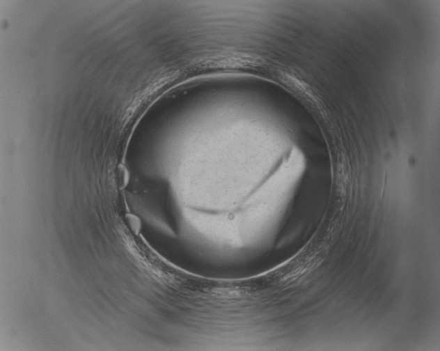 X0000055970394200509021552