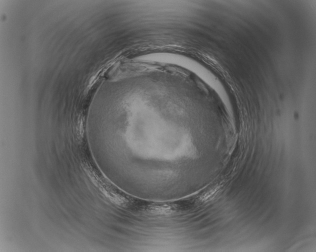 X0000055970405200509021552