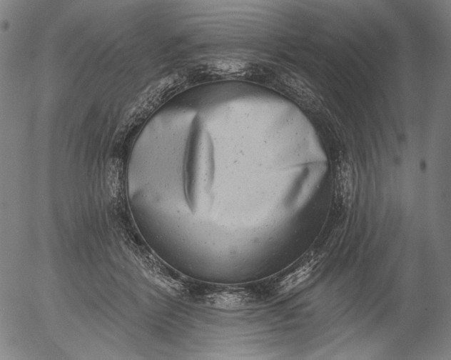 X0000055970412200509021552