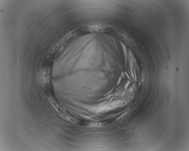 X0000055970413200509021552