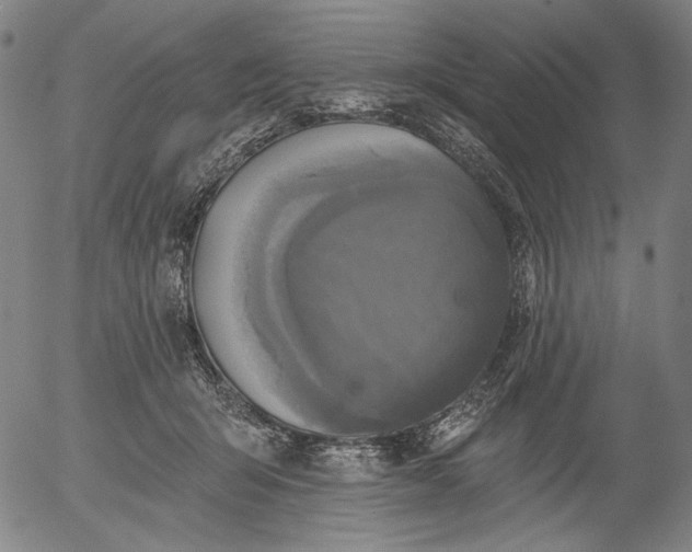 X0000055970415200509021552