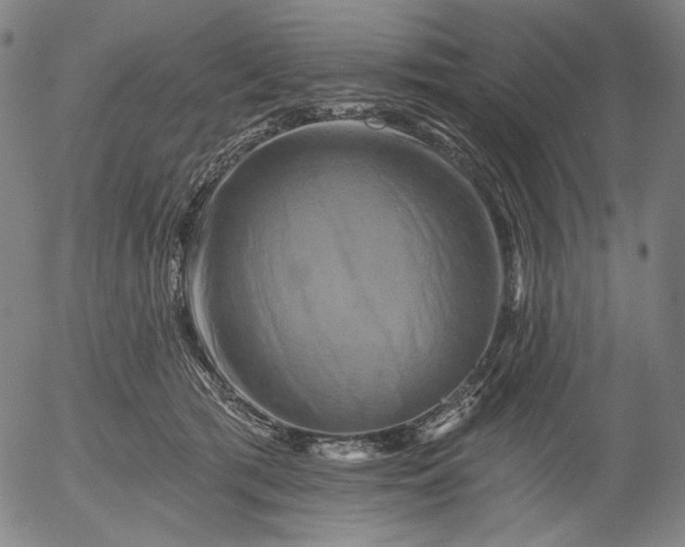 X0000055970417200509021552