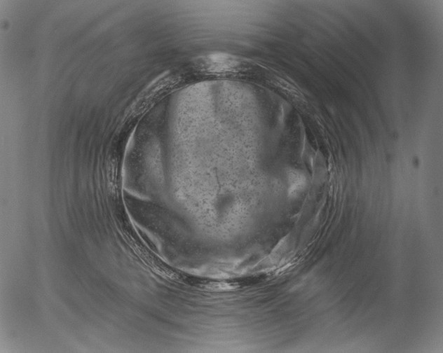 X0000055970421200509021551