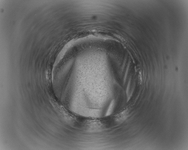 X0000055970424200509021551