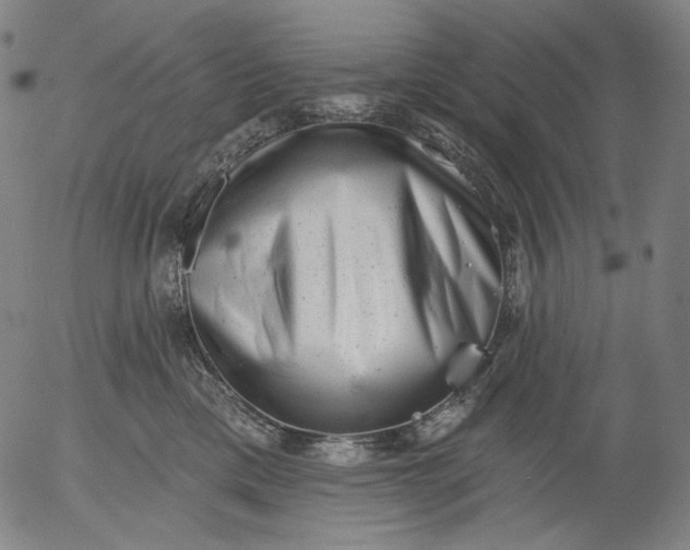 X0000055970425200509021551