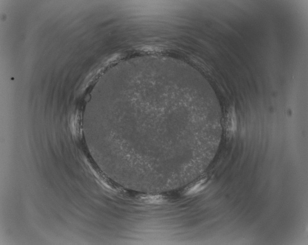 X0000055970428200509021551