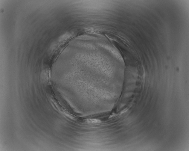 X0000055970429200509021551
