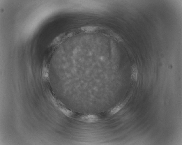 X0000055970431200509021551