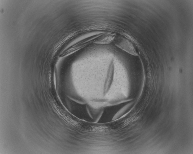 X0000055970446200509021551