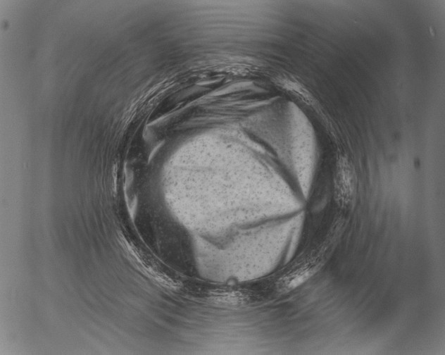 X0000055970454200509021551