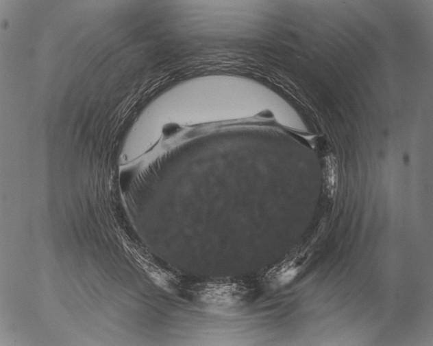 X0000055970458200509021551
