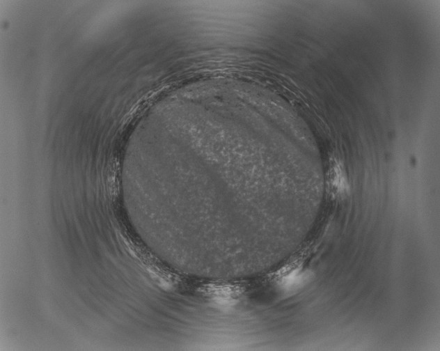 X0000055970464200509021551