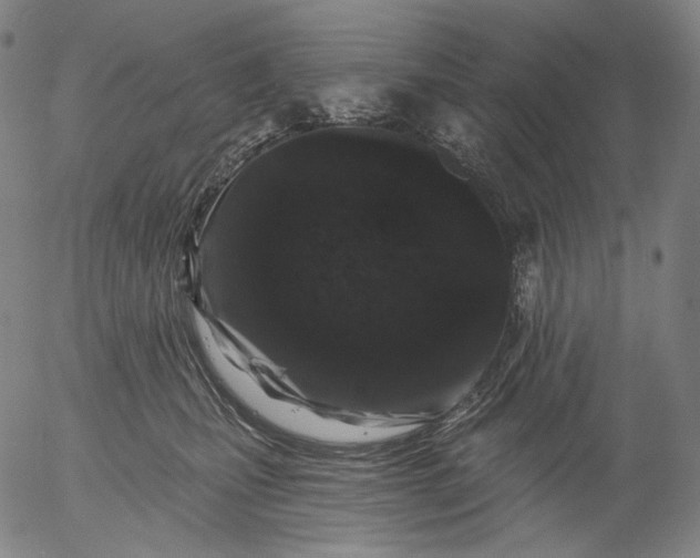X0000055970471200509021551