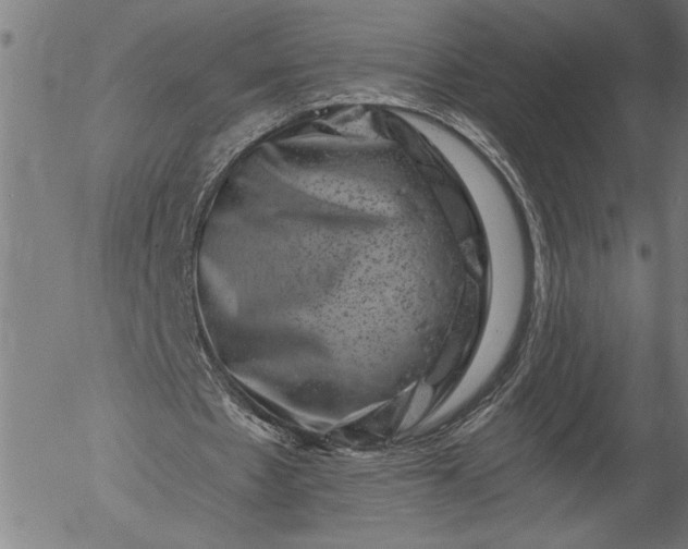 X0000055970481200509021550