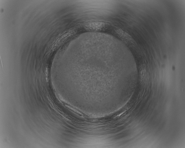 X0000055970498200509021550