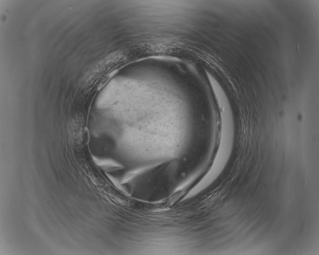 X0000055970505200509021550