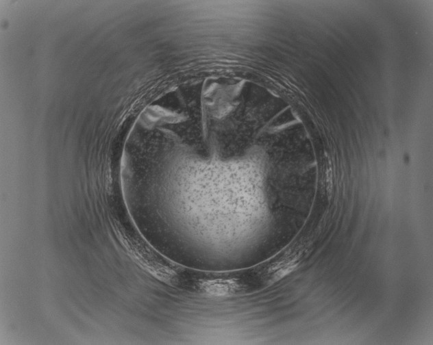 X0000055970508200509021550