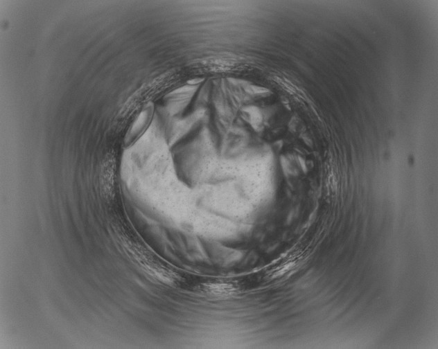 X0000055970509200509021550