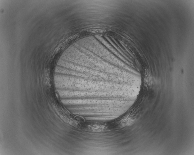 X0000055970512200509021550