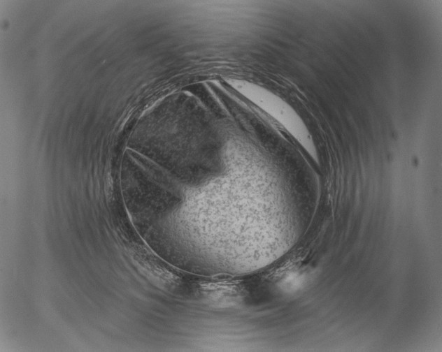 X0000055970516200509021550