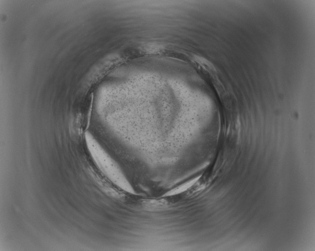 X0000055970525200509021550