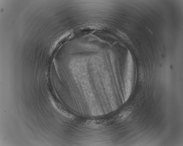 X0000055970538200509021549