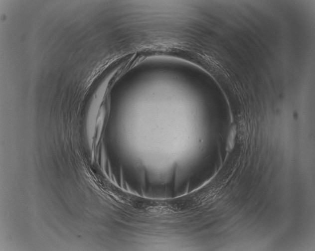 X0000055970544200509021549