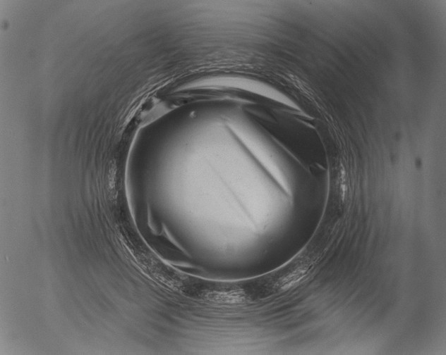 X0000055970548200509021549