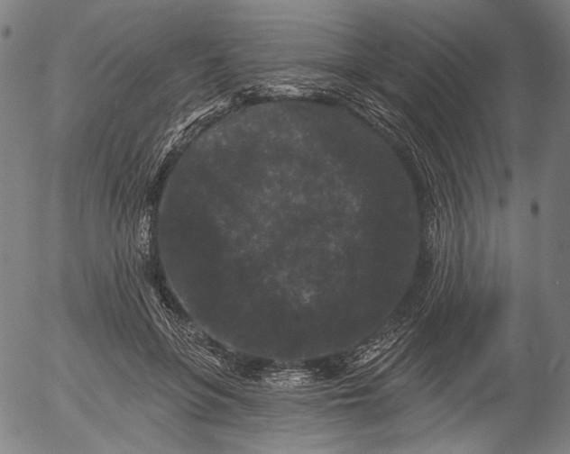X0000055970551200509021549