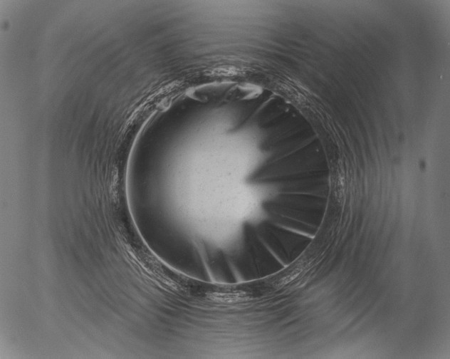 X0000055970556200509021549