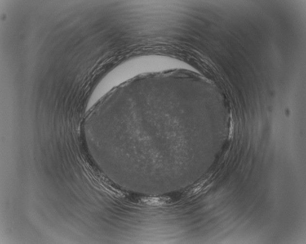 X0000055970558200509021549