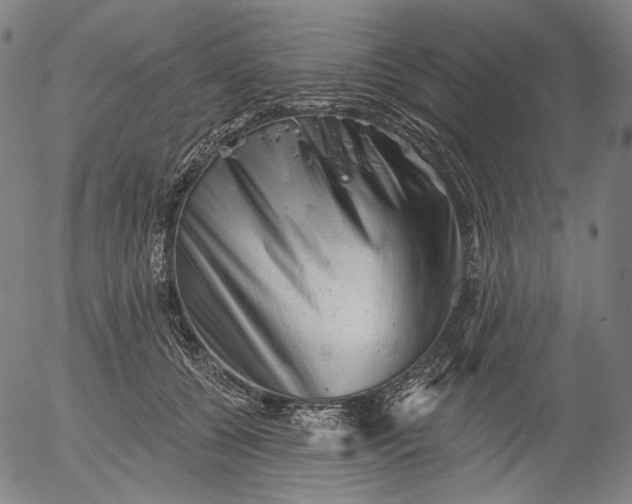 X0000055970560200509021549