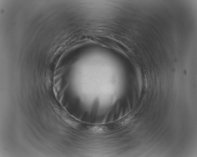 X0000055970566200509021550
