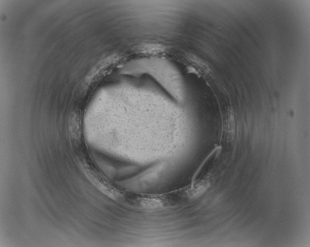 X0000055970572200509021550