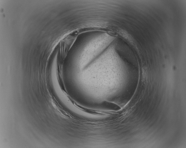 X0000055970580200509021549