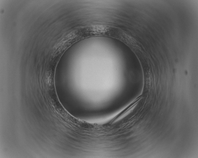 X0000055970608200509021548