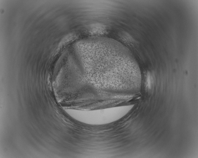 X0000055970619200509021548