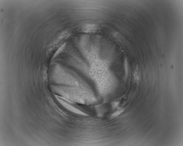 X0000055970620200509021548